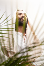 Jesus and palm fronds 