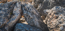 a cat peeking through rocks 
