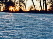 snow on the ground at sunset 