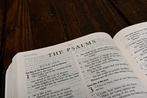 Scripture Titles - The Psalms