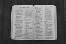 Open Bible in book of Psalms