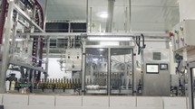 Red Wine bottles filling process in a wine bottling factory.