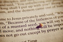 An actual mustard seed rests on the Bible - Scripture Passage: Matthew 17:20