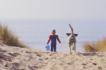 a little boy in a spiderman costume and a sand bucket on a beach and a dog