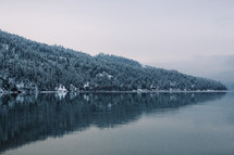 a winter shoreline in Canada 