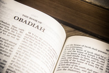 The Book of Obadiah 