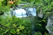 Burgess Falls 