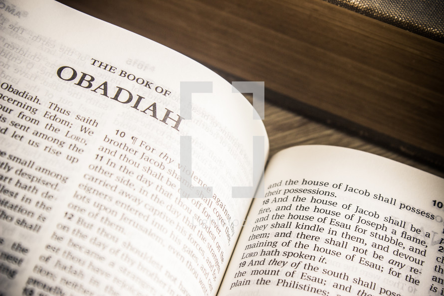 The Book of Obadiah 