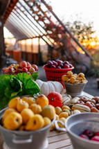 Harvest from the garden