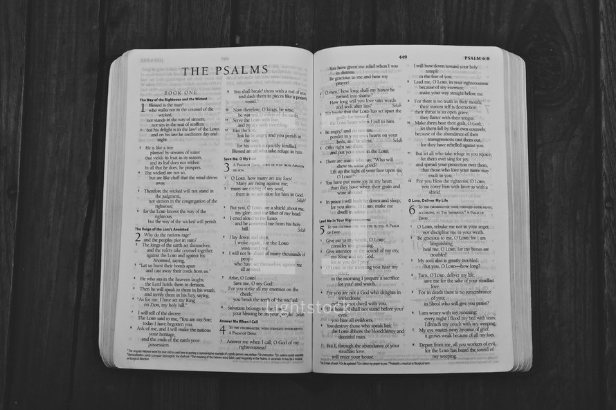 Open Bible in book of Psalms