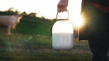 Close-up of a hand woman holding a milk can against the background of meadow farm with cow cattle. Milking animals for dairy products. Natural healthy food. Small business. Summer sunlight on nature.