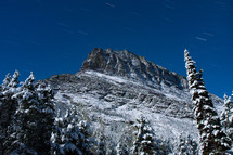 Snowy glacier and evergreen trees in Montana with deep blue sky