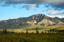 Alaskan mountain range landscape near valley and trees