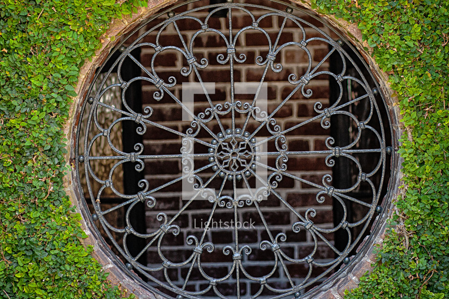 A wrought iron decorative grate surrounded by ivy