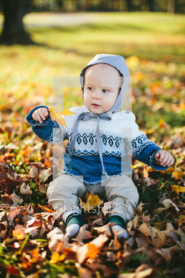 toddler boy playing in fall leaves 