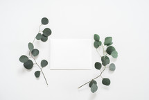 envelope and a twig with green leaves on white background