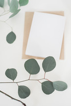 envelopes on a plate and a twig with leaves on white background