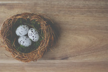 speckled bird's eggs in a nest on a table 