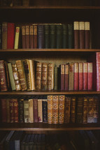 books on a shelf 