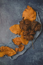 golden fall leaves and gray scarf on a gray background 