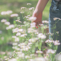 a toddler boy standing in a field of wildflowers 