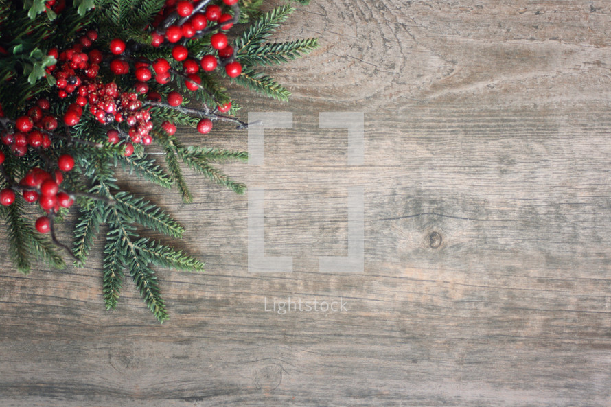 Christmas background with greenery — Photo — Lightstock