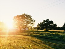 Bright sunshine on a country landscape.