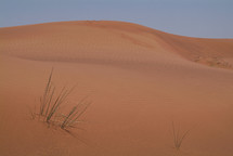 A desert sand dune