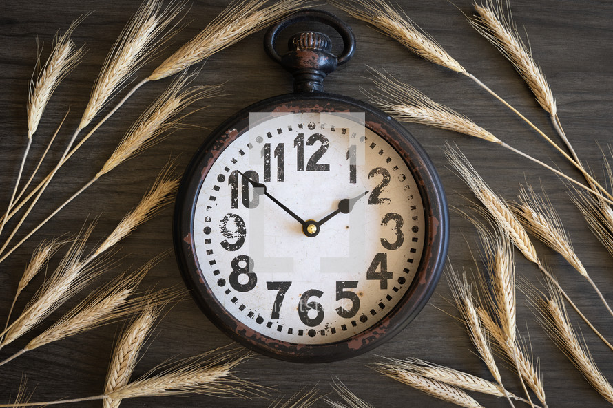 Brown clock and wheat 