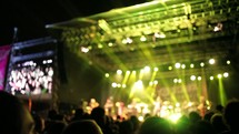 an audience at a concert 