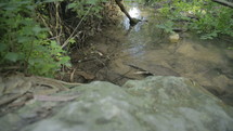 Tracking shot of a small water stream flowing inside a green lush forest