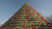 Giant Christmas Tree Decorated with Red and Golden Ribbons on Day Light	
