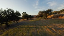 Sun Over The Beautiful Fields Of Calabria 