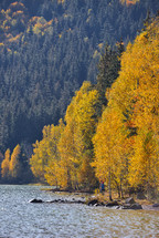 Autumn lake shore 