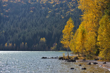 Autumn lake shore