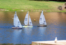 A group of model sailboats sail along a calm lake on a windy day while a bird looks on in the foreground. A relaxing scene for a vacation or quiet day by the pond feeding birds and watching the local scenery.  
