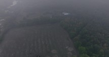 Aerial view of misty farmland and trees
