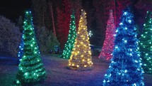 Colorful Christmas Pine Fir Trees Decoration Green Yellow Red Blue LED Lights