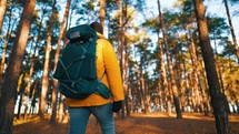 Man backpacker walking on pine forest. Successful man hiker with backpack at sunset time. Travel lifestyle wanderlust concept adventure outdoor vacations wild nature.