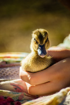 a woman holding a ducking 