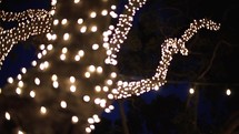 outdoor Christmas light display 