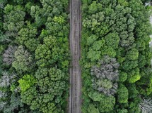 train tracks through a forest 