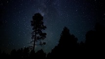 Timelapse of Milky Way stars above a pine forest 