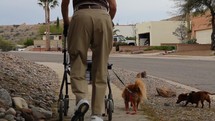 An elderly man walking his dogs with a walker