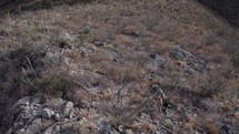 Aerial of a man hiking through extremely rough terrain on a desert mountain