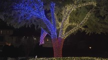 Beautiful Cute Colorful Christmas Lights Tree of Texas Around Neighborhood