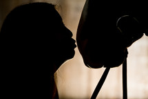 silhouette - woman kissing horse on nose