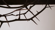 droplet of blood on a crown of thorns 