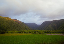 Pololu Valley landscape 