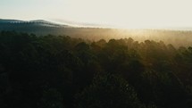 aerial view over a forest at sunset 